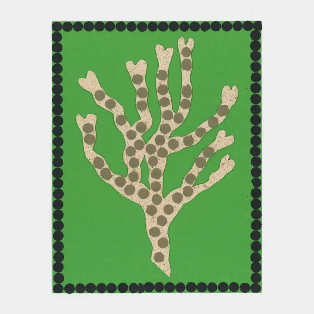 Julie Legrand and Nina Izycka’s zine investigates seaweed