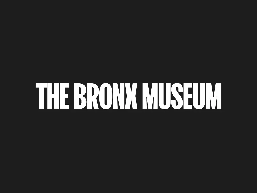 Bronx Museum 2027 AIM Fellowship