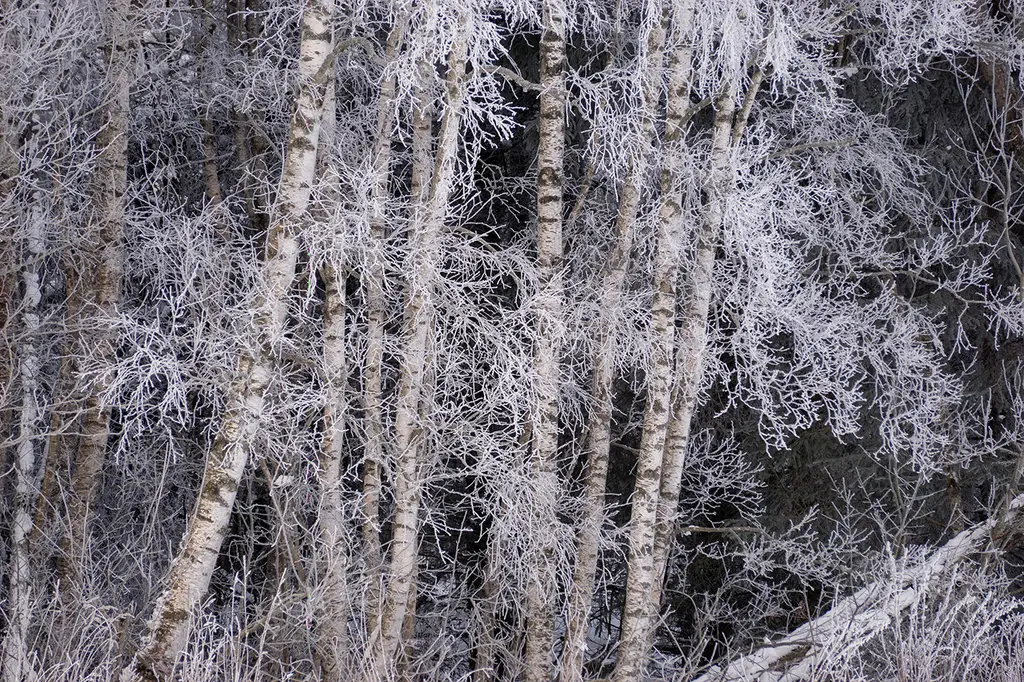 Only in the winter :: Behance