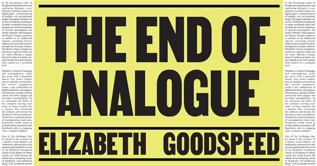 Elizabeth Goodspeed on the limits of imperfection as a design strategy
