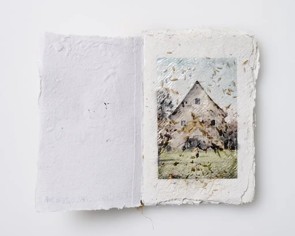 This plantable photobook was designed to grow out of the ground