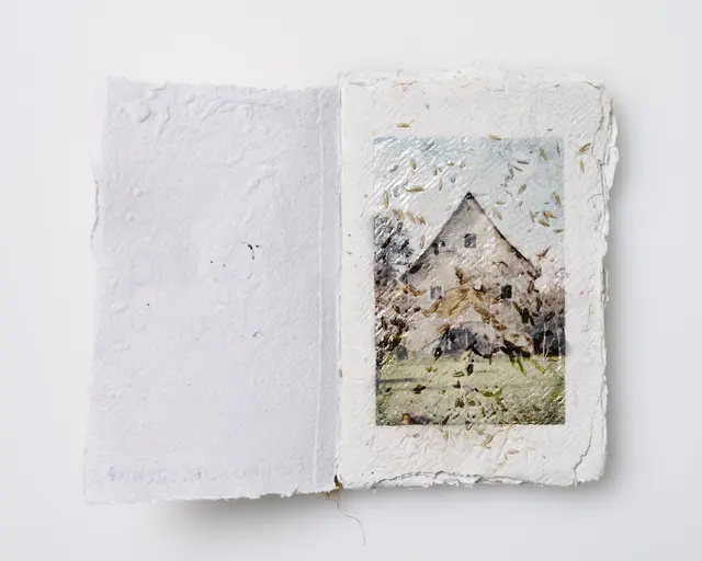 This plantable photobook was designed to grow out of the ground
