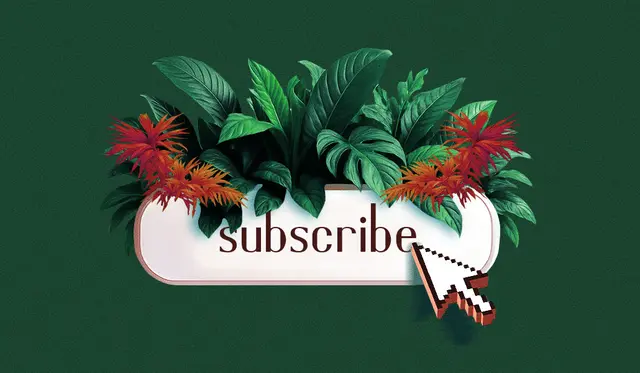 Subscriptions growing at big news publishers even as traffic shrinks