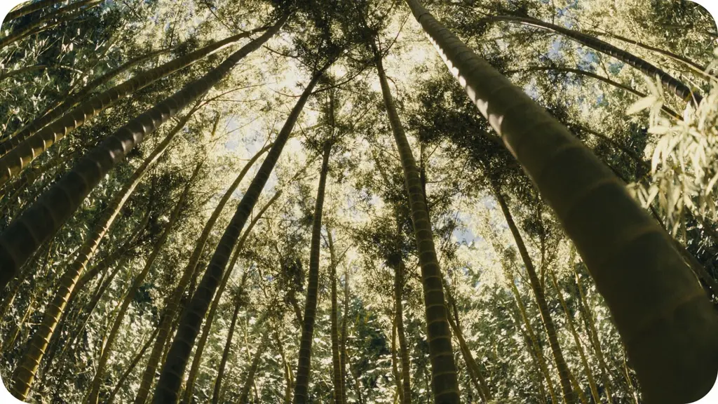 This serene, lush foliage was actually made with a Blender plugin