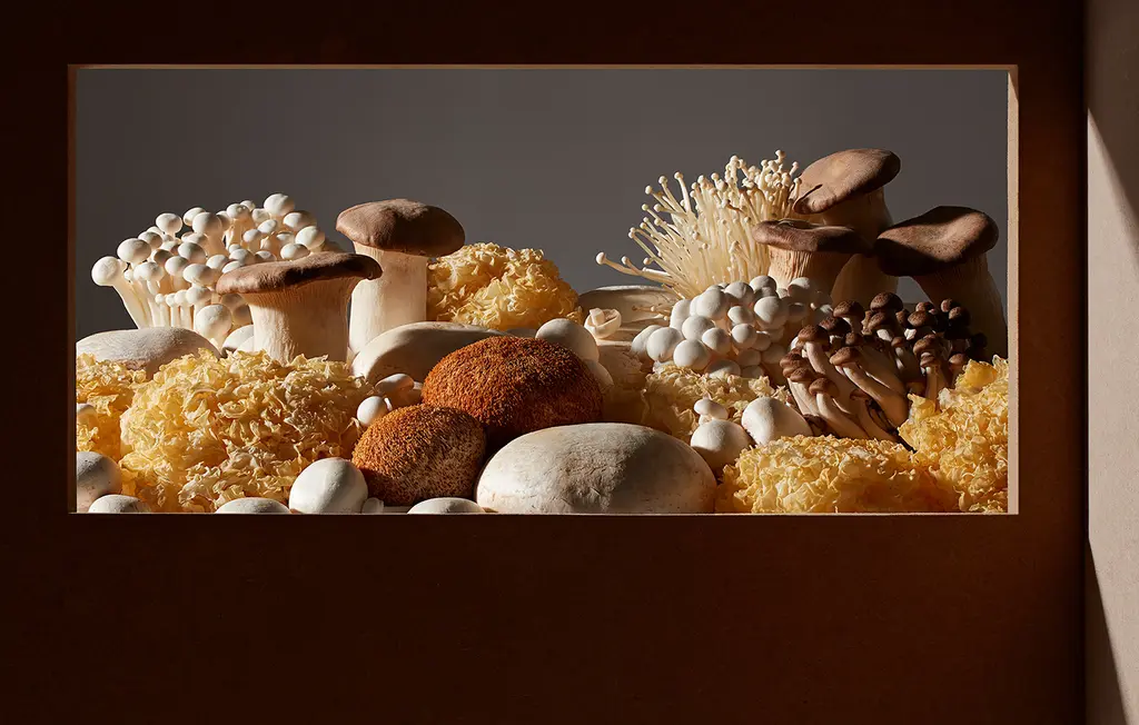 Food Landscapes :: Behance