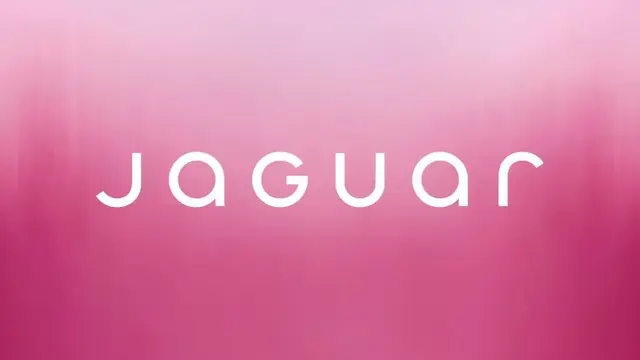 Why Jaguar’s right to stick to its controversial rebrand