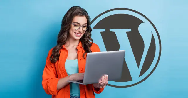 Why Is SureRank WordPress SEO Plugin So Popular?