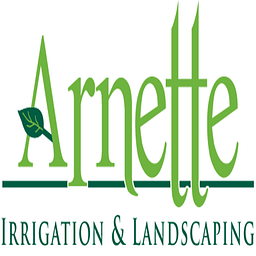 Arnette