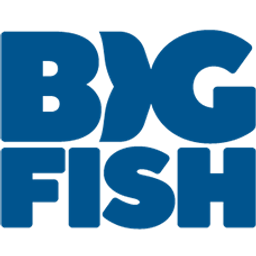 Big Fish Games, Inc.