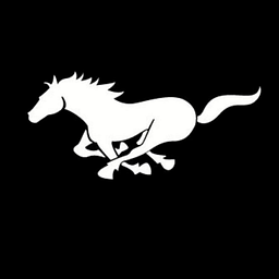 Black Horse