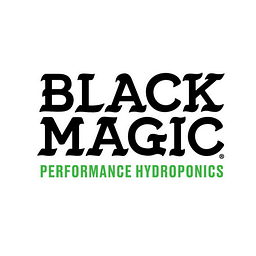 Black Magic