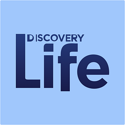 Discovery Life