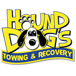 Hound Dog