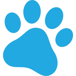 Kitty