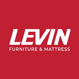 Levin Furniture Inc