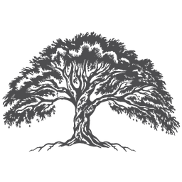 Live Oak Contracting