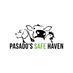 Pasado