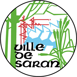 Saran