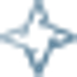 Silver Star Brands