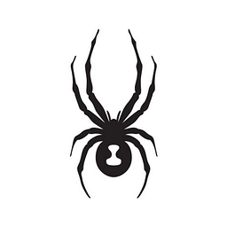 Spyder Active Sports, Inc.